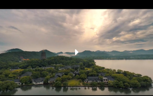 �¾�����