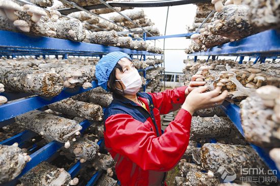 Óؚ����(ji��n)��С��