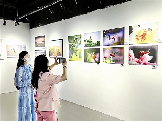 ��(l��)�䡰һ��(ji��)һչ��