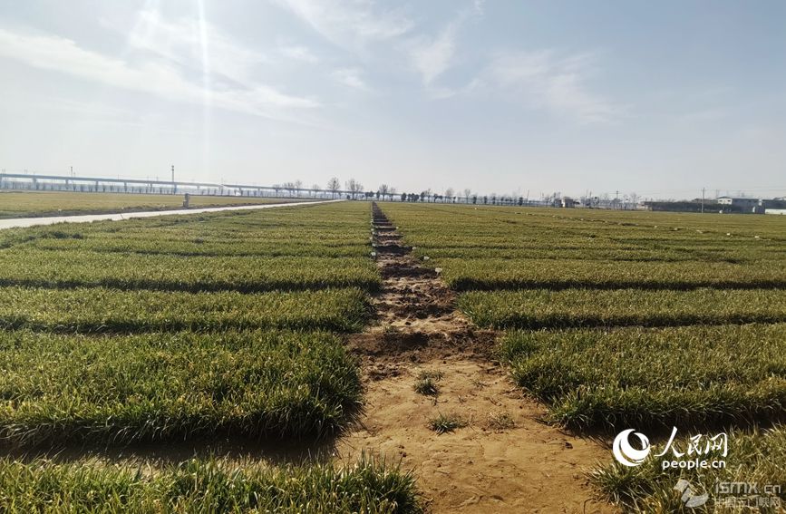 ����䓈F(tu��n)�(du��)ؓ(f��)؟(z��)��λ�ں���ʡ���l(xi��ng)�h�ć�(gu��)�ҬF(xi��n)���r(n��ng)�I(y��)�Ƽ�ʾ��չʾ����������W(w��ng) �η��Δz