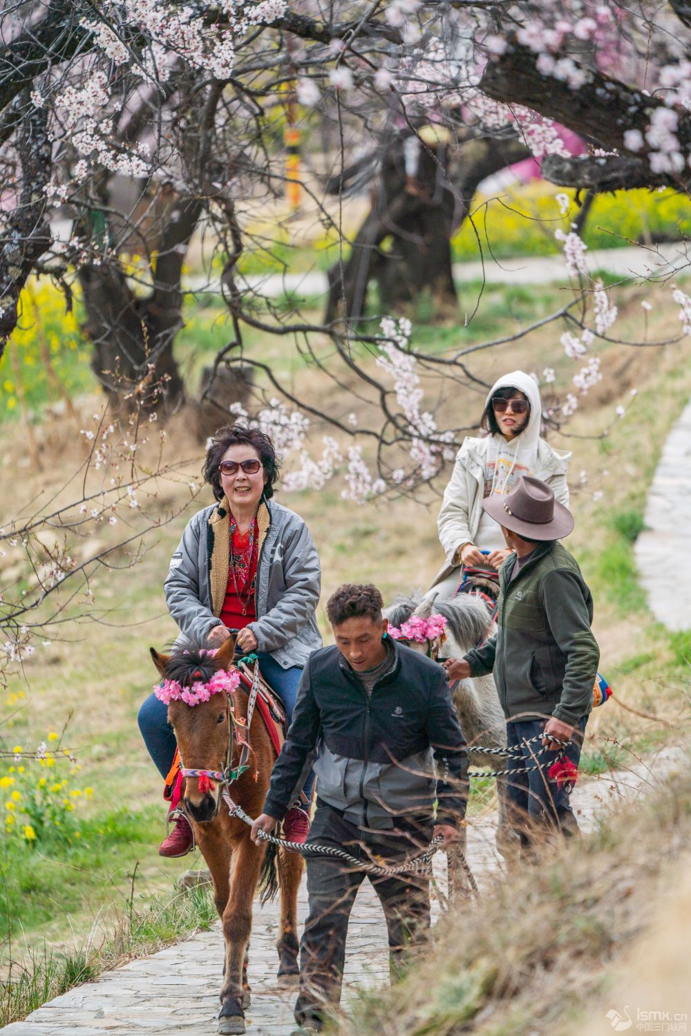 �ο�����֥�и������w�(y��n)�R���^�����DƬ��(l��i)Դ ���A��