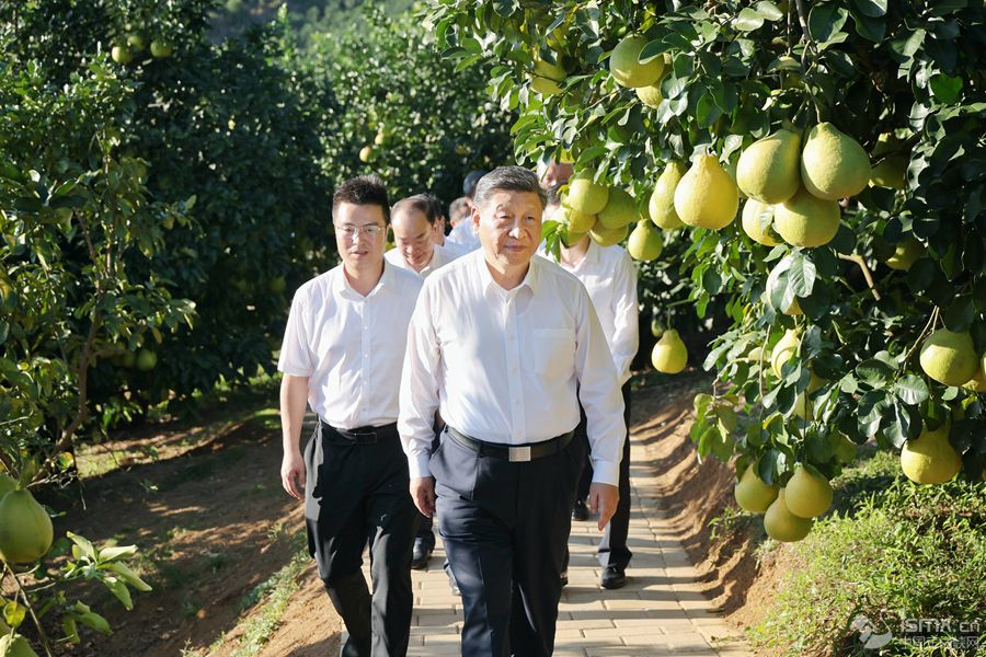 2025��11��7����8�����й����뿂��ӛ��������ϯ������܊ί��ϯ����ƽ�ڏV�|�������@��7�����磬����ƽ��÷����÷�h�^(q��)�����(zh��n)�ϸ����ַNֲ���ؿ��������A��l(f��)��Ф� �z��